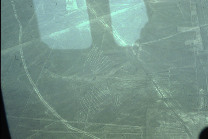 Linee di Nazca