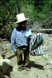 Sciamano con cactus Sanpedro, Samanga