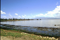 Lago Manyara